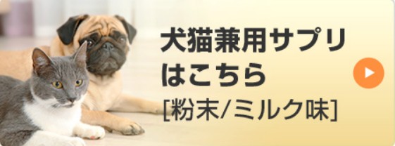 犬用(チキン味)腎不全サプリについて